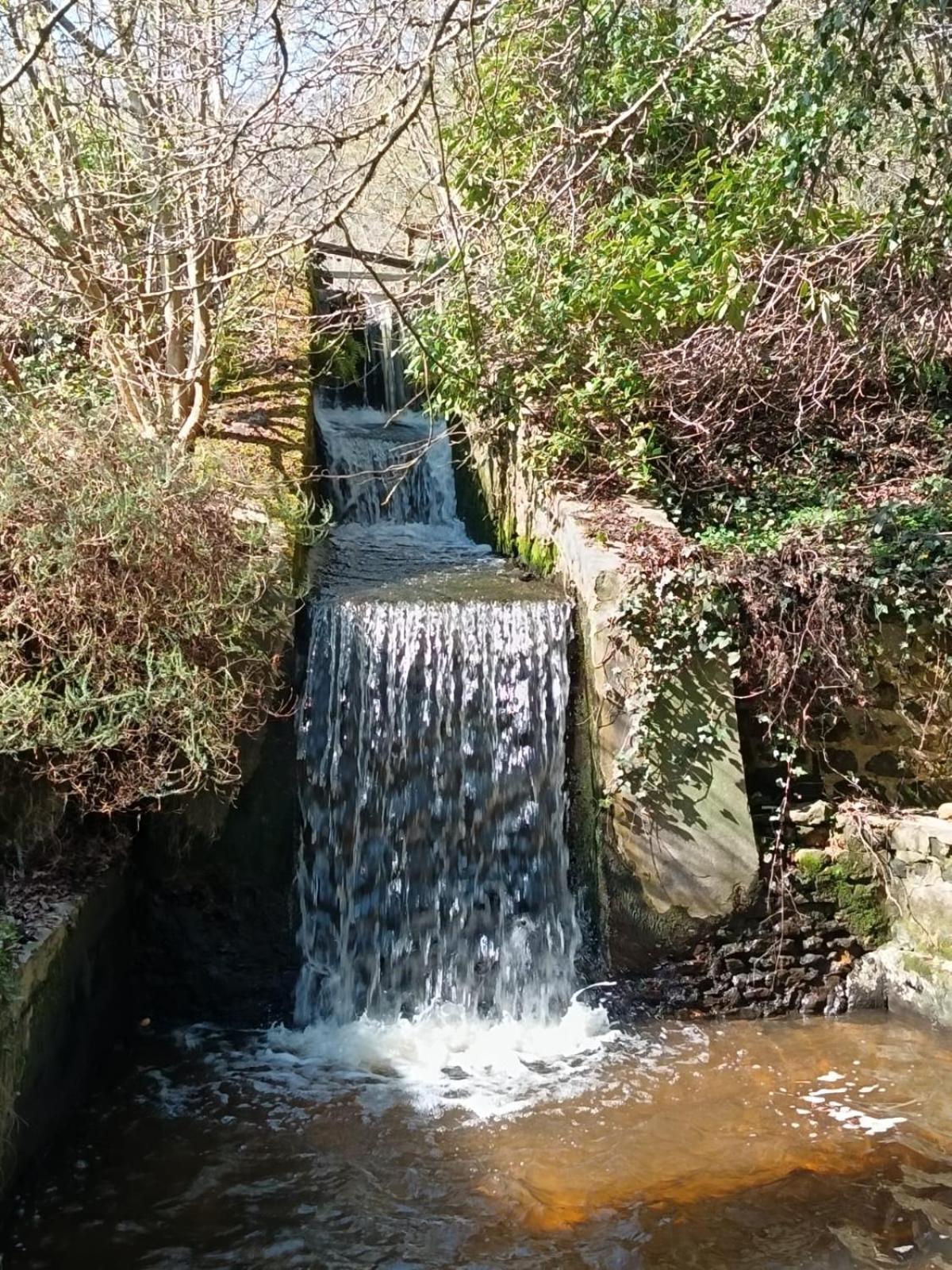 Moulin De Boiscorde, Centre Perche Acomodação com café da manhã Rémalard Exterior foto